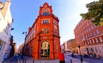 Grays Travels