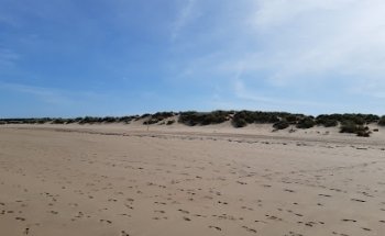 Nottingham Travel Bradford ( PTS )