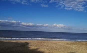 Carefree Holidays