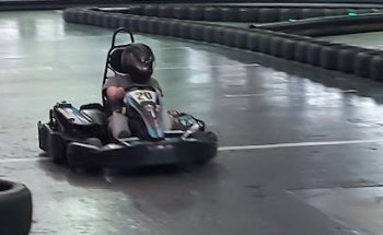 Flight Centre Port Macquarie