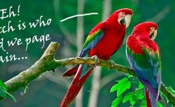 https://seetavacation.com