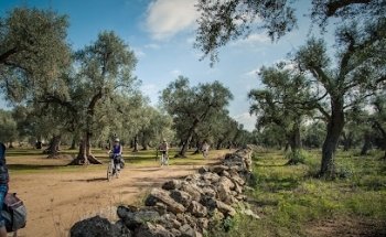 Salento Bici Tour