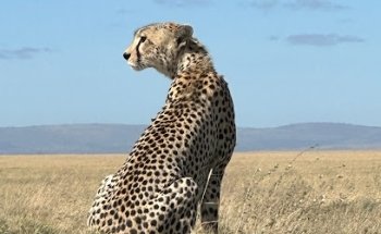African Explorer | Viaggi e Safari in Africa
