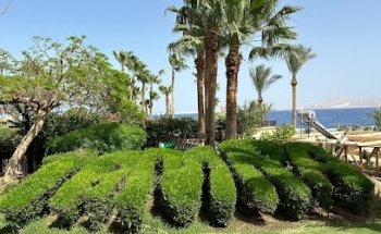 Mister Holiday, Viaggi e Vacanze Torre De' Passeri