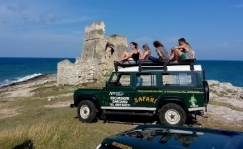 Agrifoglio Tour Escursioni e Viaggi