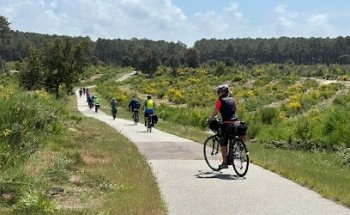 Agenzia La Palma - activestay
