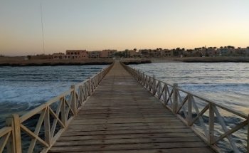 Vivere & Viaggiare Capriolo