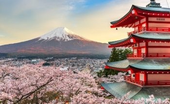 Baiana Tour Operator :: Agenzia di Viaggi
