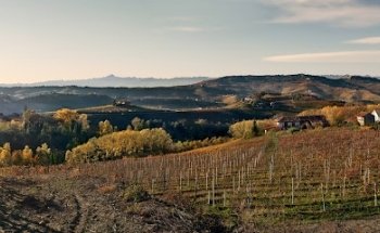 LoveLanghe - Visite in Cantina ed Eventi nelle Langhe e in Piemonte