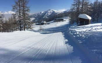sauzeonline