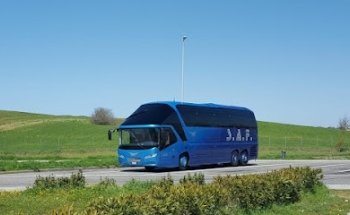 S.A.F. noleggio minibus ed autobus con autista