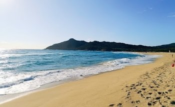 Vivere & Viaggiare - Limbiate