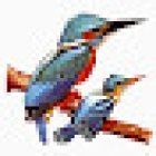 Arçais Embarcadère Au Martin-pêcheur