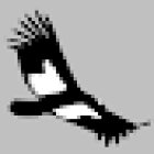 La Puna, Tourisme dans le nord-ouest argentin