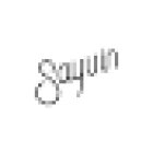 Sayvin