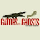 Gators and Ghosts: New Orleans Tours