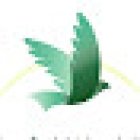 Wonderful World Travel INC