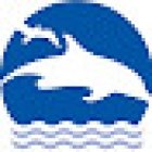 CaboVillas.com
