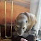 Agence de voyage TUI STORE Epernay