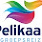 Pelikaan Groepsreizen