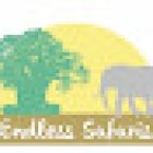 Endless Safaris