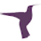 Flitter Fever travel blog
