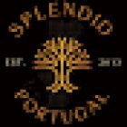 Splendid Evasion