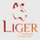 Liger DMC Réceptif Portugal