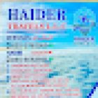 Haider travels LLC
