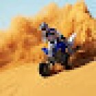 Dubai Desert Safari
