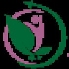 world wellbeing tourism