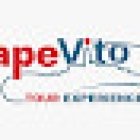 Ape Vito Tour & Transfer