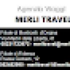 MERLI TRAVEL di Monticelli d'Ongina