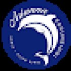 Arianna Escursioni|tour isole Eolie|Eolie vacanza|scalata al cratere di Stromboli|Trasferimenti in barca Isole Eolie