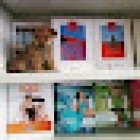 Viaggi Subalpina Collegno