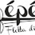 Epèe Viaggi e Turismo ( Escursioni via mare , Escursioni via terra, noleggio barche )