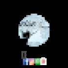 Reise Fee Travel & More